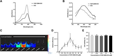 Development of a fibroblast activation protein-targeted PET/NIR dual-modality probe and its application in head and neck cancer